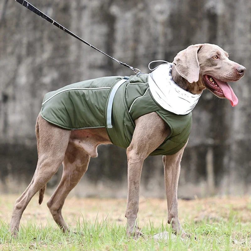 Autumn  Winter Pet Clothes Outdoor