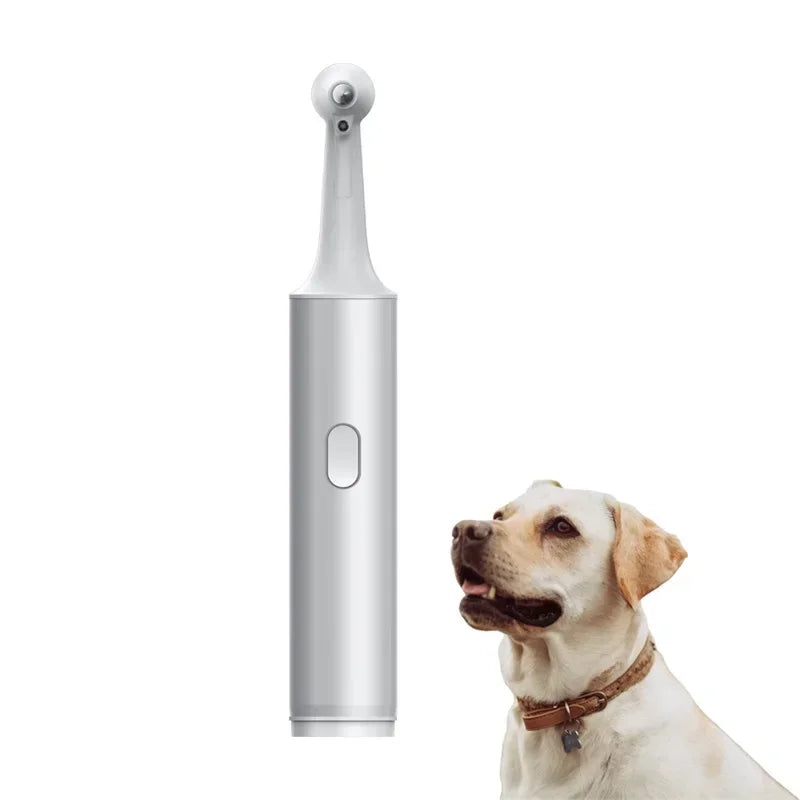 Pet Electric Tooth Polisher