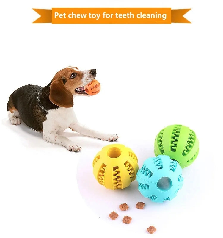 Games for The Dog Toys for