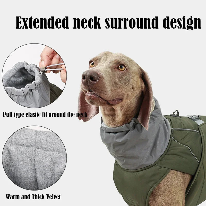 Autumn  Winter Pet Clothes Outdoor