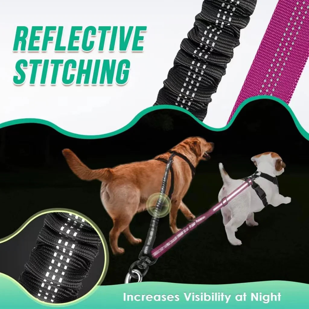 Double Dog Leash for Two Dogs