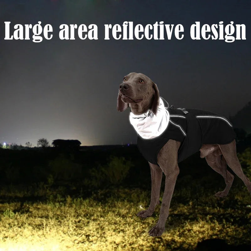 Autumn  Winter Pet Clothes Outdoor