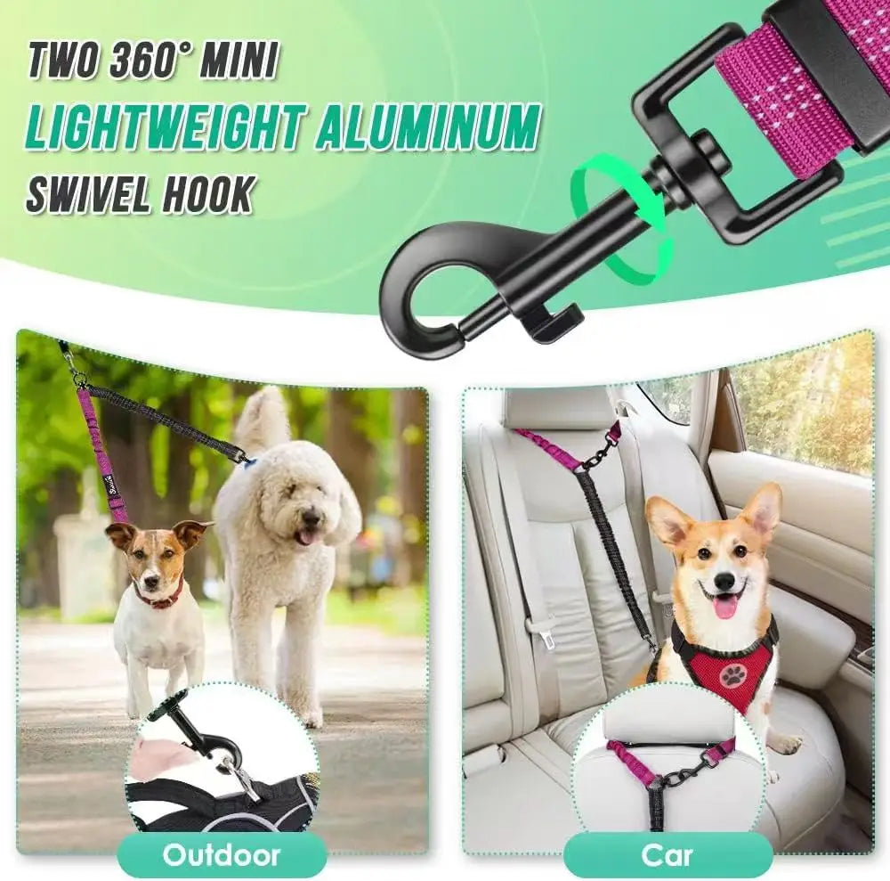 Double Dog Leash for Two Dogs