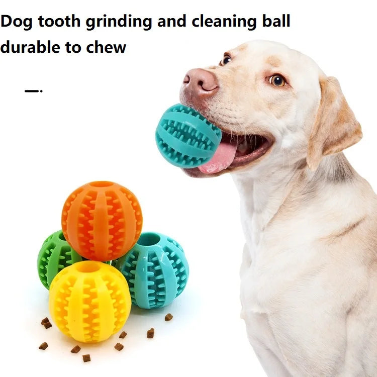 Games for The Dog Toys for
